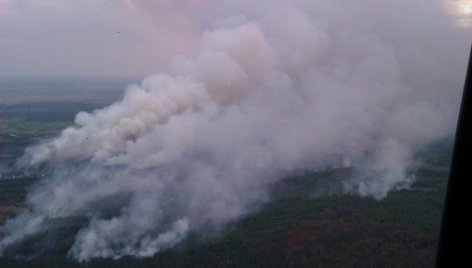 Černobylio apsaugos zonoje degantys miškai