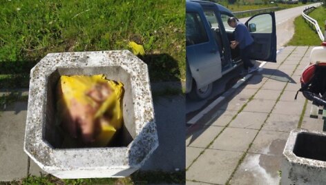 Mazūri&scaron;kėse, Klaipėdos rajone, &scaron;iuk&scaron;linėse gyventojai pamatė kiaulių galvas.