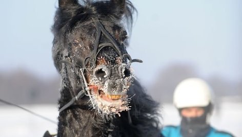 Sartų lenktynės vyko jau 106-ąjį kartą