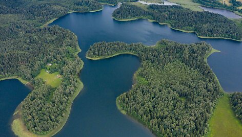 Platelių ežerynas su salomis ir pusiasaliais