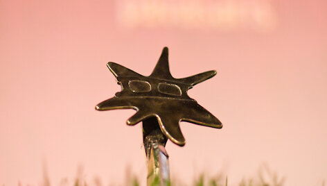 Festivalio &bdquo;Kino pavasaris&ldquo; prizas