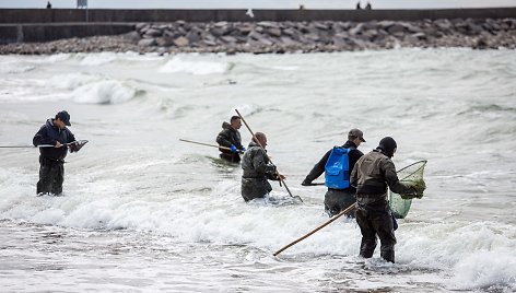 Gintaro rinkėjai Melnragės paplūdimyje