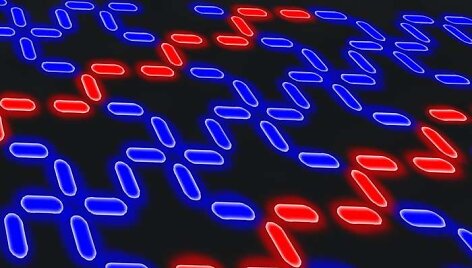 Sukurti gamtoje natūraliai neaptinkamų savybių magnetukai
