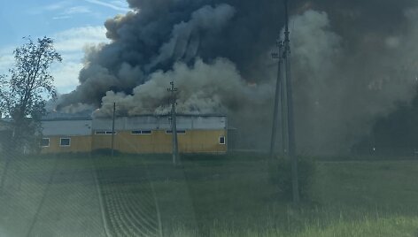 Kalinų kaime užsiliepsnojo baldų gamykla