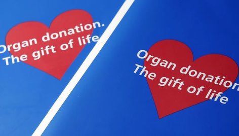 Organų donorystė