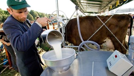 Pieno ir jo produktų kainų augimas artimiausiu metu nesustos.