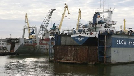 Daugiausia gyvsidabrio į Kuršių marias ir Baltijos jūrą patenka dėl pramonės įmonių veiklos, atliekų deginimo. Šis sunkusis metalas patenka į žuvų, kurios vėliau patenka ant mūsų stalo, organizmą. 