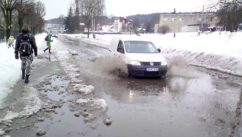 Patvinusi Žalioji g. Vilniuje