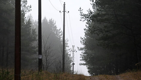 Elektros laidai