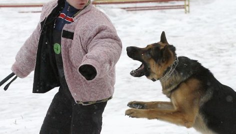 Puolantis šuo