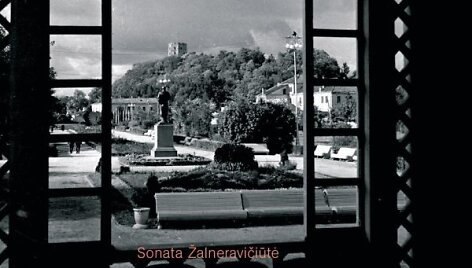 Knygos vir&scaron;elis