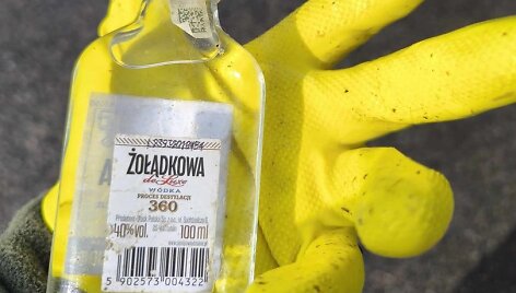 &Scaron;iuk&scaron;lių rinkimo akcija Raigardo pasienio kontrolės punkto prieigose