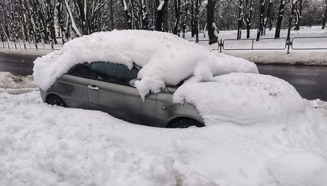 Apsnigtas automobilis. Alfa Romeo Panevėžyje