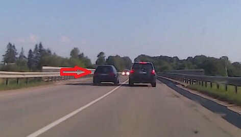 Kelių gaidelis lekia su &bdquo;Audi&ldquo;. Jį siūloma vadinti kelių asilu.
