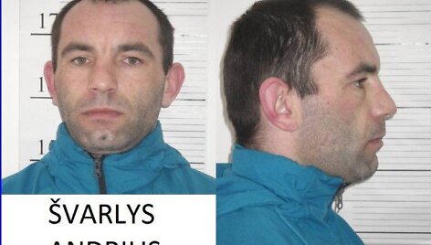 Andrius &Scaron;varlys