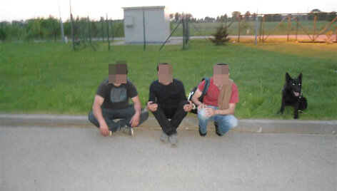 Vokiečių aviganė Akela sugavo tris gruzinus nelegalus