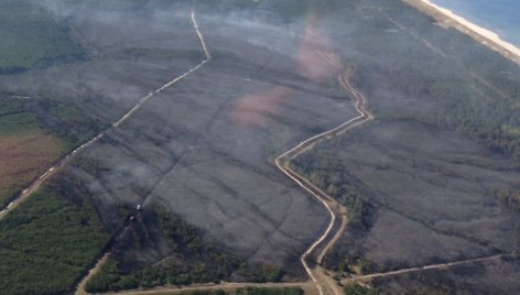 Kuršių nerija atsikvėpė – per kelias valandas beveik 70 hektarų pusiasalio miškų nusiaubęs gaisras numalšintas.