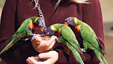 Spalis &bdquo;Zoopark&ldquo; &ndash; i&scaron;skirtinės pramogos ir nemokamos ekskursijos