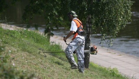 Vilniaus vadovai tikisi, kad atsiras mokančių ir norinčių pagelbėti šienaujant žolę.