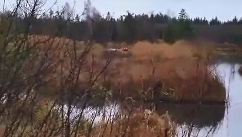 Pareigūnams į saloje įkurdintą naminės degtinės fabrikėlį teko plaukti