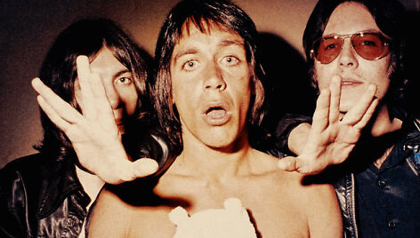 Grupė &bdquo;The Stooges&ldquo;