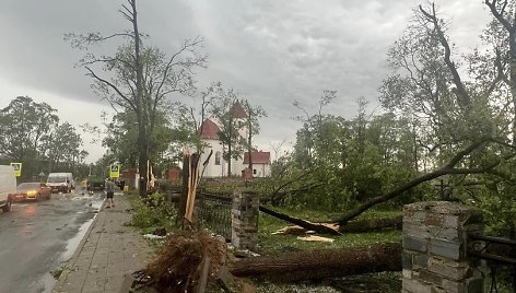 Audros nusiaubta Žagarė