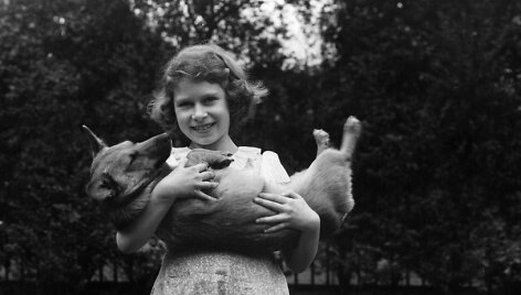 Karalienė Elizabeth II ir jos numylėti korgiai