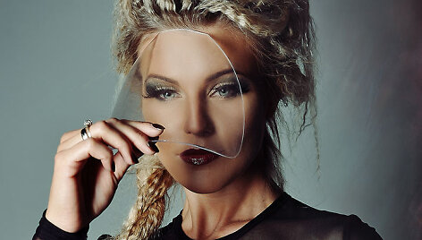 Modelis Vaida