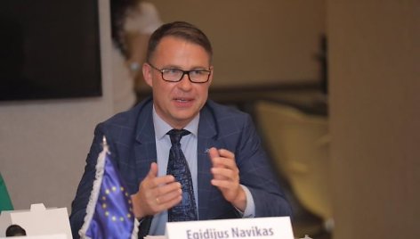 Egidijus Navikas