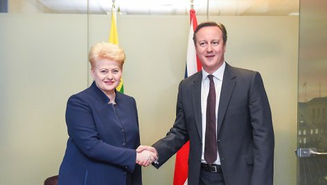 Dalia Grybauskaitė susitiko su britų premjeru Davidu Cameronu