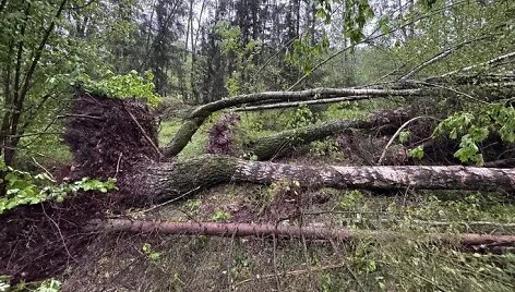Audra Baltarusijoje: kru&scaron;a ir viesulas