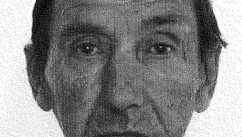 Dingęs Francas Davlidovičius