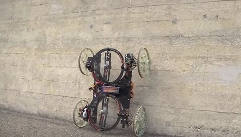 Robotas