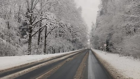 Apsnigti keliai Tauragės apskrityje