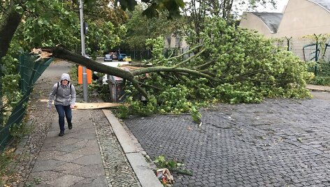 Audros padariniai Vokietijoje