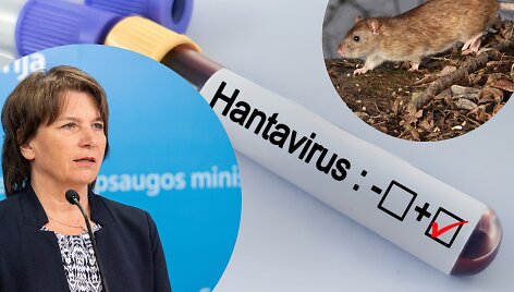 Aurelija Žvirblienė apie hantavirusą