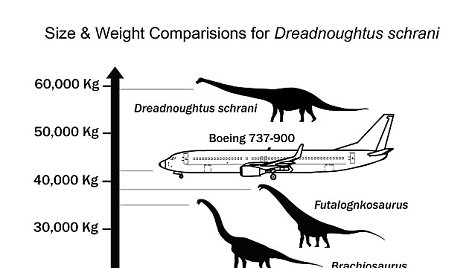 Dinozauro dydžio ir svorio palyginimas