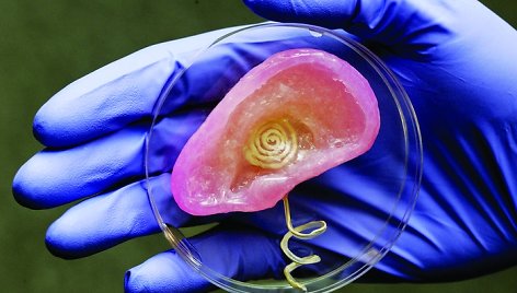 Prinstono univeristeto mokslininkų inžinerinis kūrinys - tiek garso, tiek radijo bangas galinti girdėti bioninė ausis