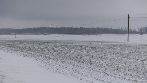 Lietuvą užklojo sniegas