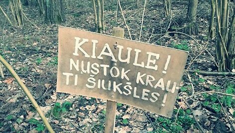 Lentelė Neries regioniniame parke