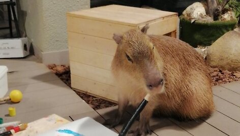 Spalis &bdquo;Zoopark&ldquo; &ndash; i&scaron;skirtinės pramogos ir nemokamos ekskursijos