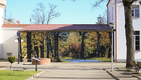 Pilies kiemelio apleistus garažus puo&scaron;ia tentas su Rasitos Liulienės nuotrauka