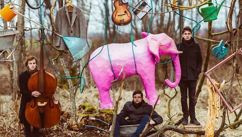 &bdquo;The Pink Elephant&ldquo;