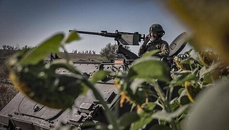 Ukrainos karys
