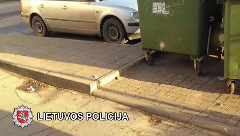 I&scaron;piltas gyvsidabris