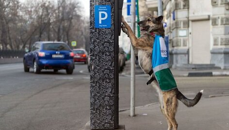 Automobilių parkavimą kontroliuoja ir &scaron;unys