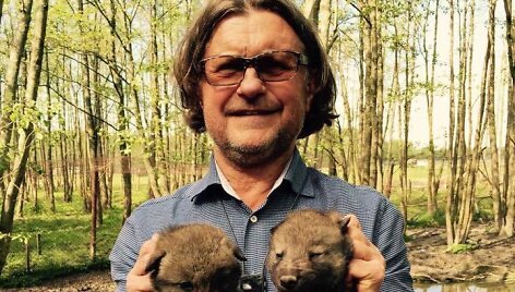 Antanas Bosas vilkiukus laiko taip, kaip juos ne&scaron;ioja motina vilkė