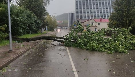 Vilniaus Lvivo gatvė