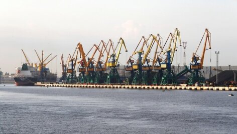 BNS nuotr.