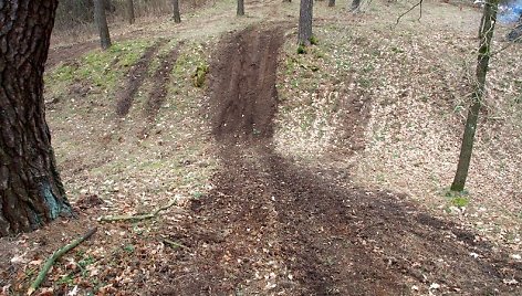 Kejėnų piliakalnis, Dubysos RP